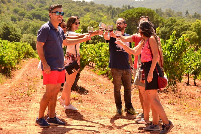 Arrabida and Sesimbra Small-Group Day Trip from Lisbon with Wine Tasting - Quinta do Alcube winery: second round, more “farm feel”
