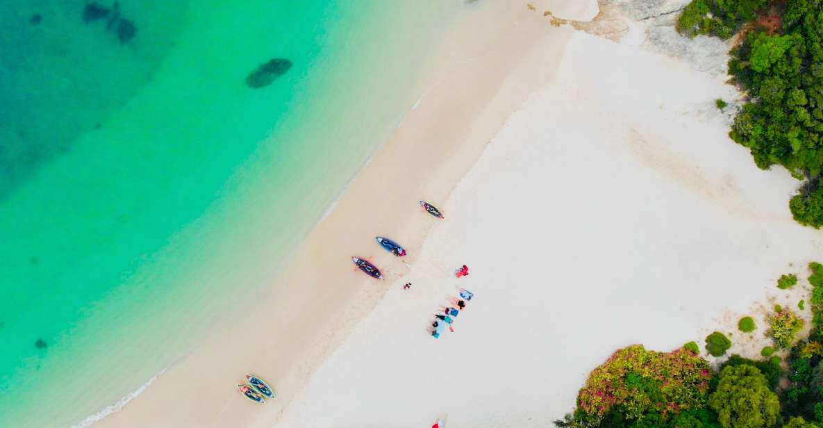 From Lisbon: Arrábida Natural Park Kayak Tour with Lunch - Beach Games and the Social Side of the Trip