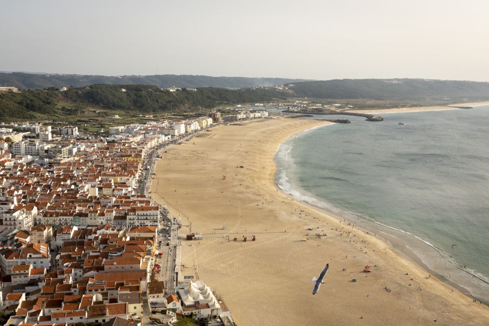 From Lisbon: Day Trip to Porto, Óbidos, and Nazaré - Bus Comfort: what matters and what to watch for