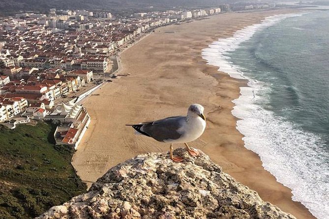 From Lisbon: Fatima Batalha Nazare & Obidos Small Group Day Trip - Fátima Sanctuary: Where the Time Feels Like a World Apart