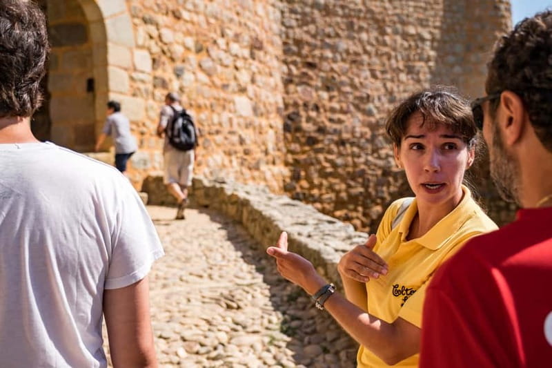 From Lisbon: Knights Templar Day Tour in Tomar - A Well-Timed Day Trip With Real Breathing Space