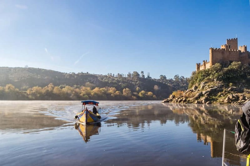 From Lisbon: Knights Templar Day Tour in Tomar - Small-Group Comfort From Lisbon: The 8-Hour Reality Check