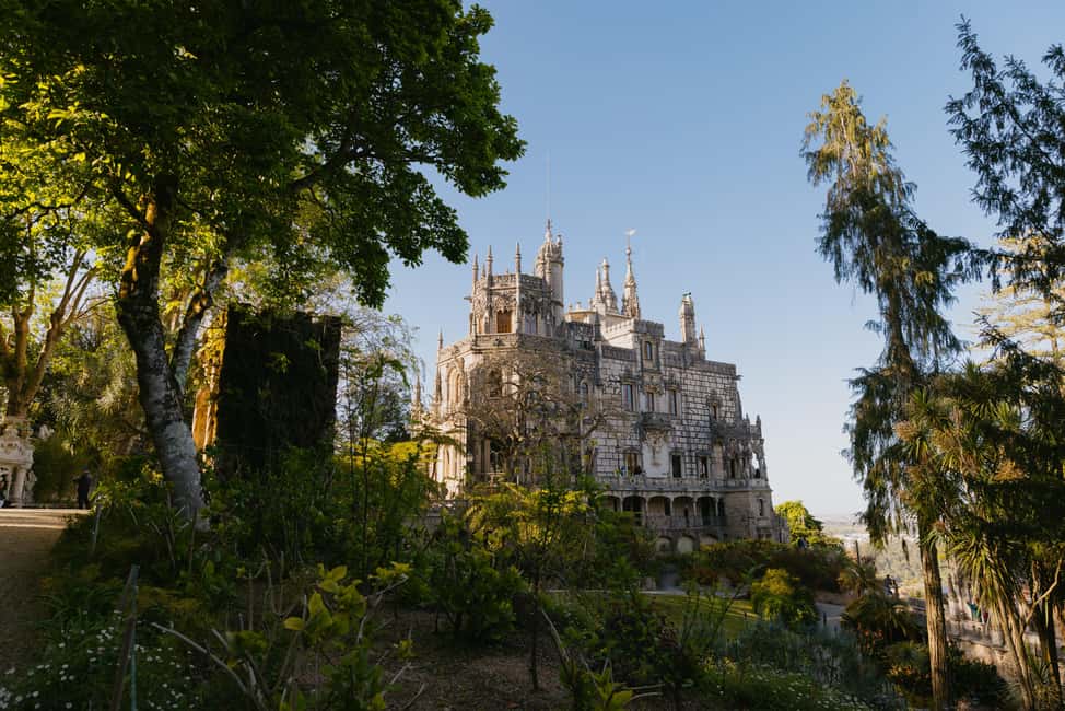 From Lisbon: Sintra, Regaleira and Pena Palace Guided Tour - Guides and group size: small van days vs big-bus days
