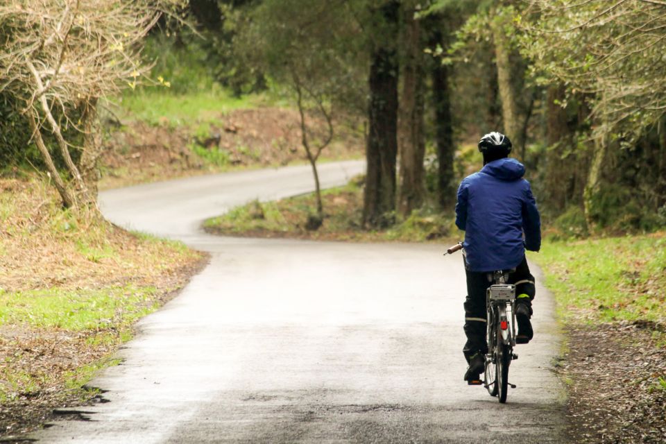 From Lisbon: Sintra to Cascais Full-Day Guided E-Bike Tour - Azóia lunch and the forest climb toward Peninha