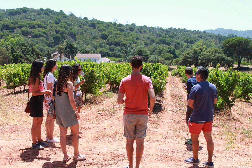 Lisbon: Arrábida and Sesimbra Day Trip with Wine - Key highlights worth marking on your map