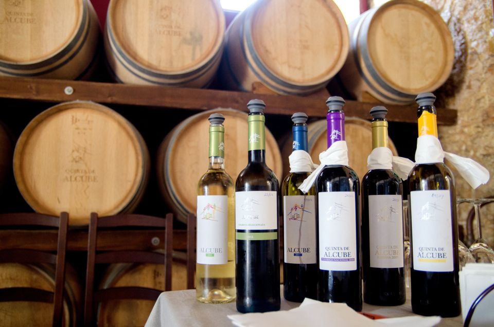 Lisbon: Arrábida and Sesimbra Day Trip with Wine - Pace, comfort, and what to pack for the long van day