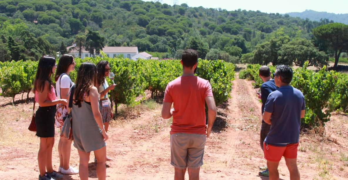 Lisbon: Arrábida and Sesimbra Day Trip with Wine - Why Arrábida and Sesimbra are such a smart day trip