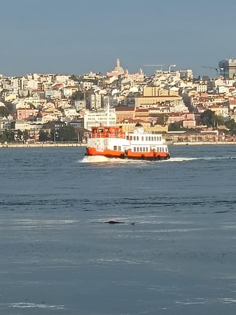 Lisbon: Belem, Jeronimos Monastery, and Coach Museum Tour - Should You Book This Lisbon: Belem, Jerónimos, and Coach Museum Tour?