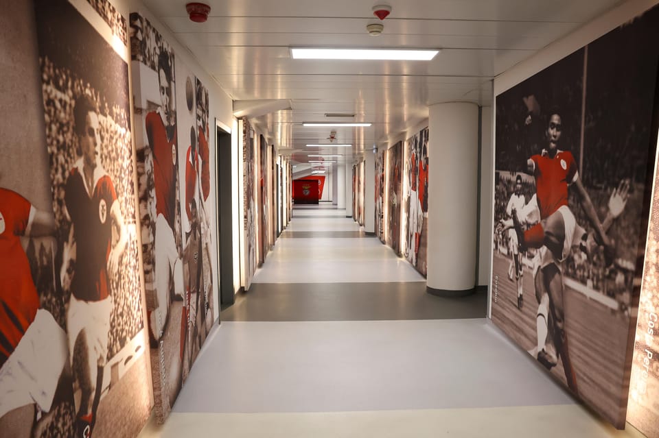 Lisbon: Benfica Luz Stadium Tour with Souvenir Scarf - Price Check: Is $18 Worth It?