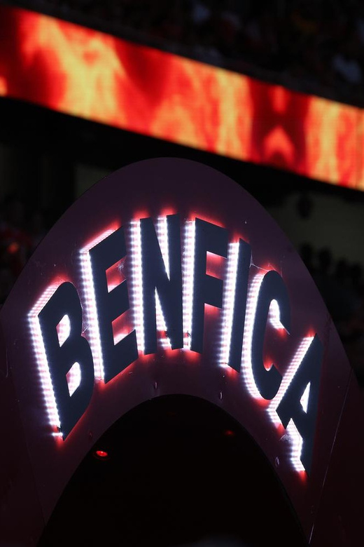 Lisbon: Benfica Luz Stadium Tour with Souvenir Scarf - Who Should Book This Luz Stadium Tour?
