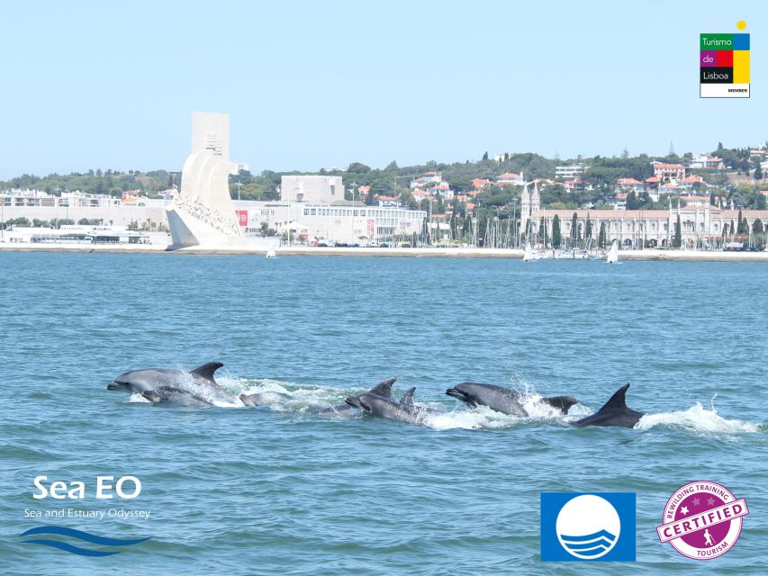 Lisbon: Dolphin Watching with Marine Biologist - What to Wear and Bring: Staying Warm, Seeing Clearly, and Not Getting in Trouble