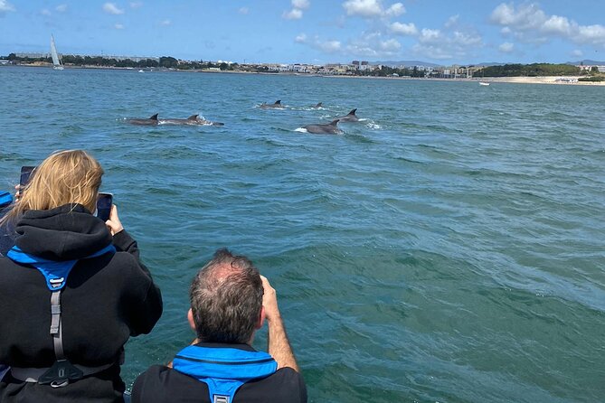 Lisbon: Dolphin Watching with Marine Biologist - Small Group - Entering The Oceanic Lounge: A calm start under the 25 de Abril