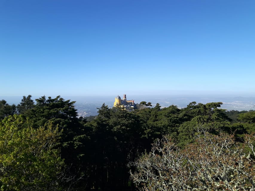 Lisbon: Half-Day Sintra Tour with Pena Palace and Regaleira - The Sintra Village Break: Travesseiro, Queijada, and a Little Breathing Room
