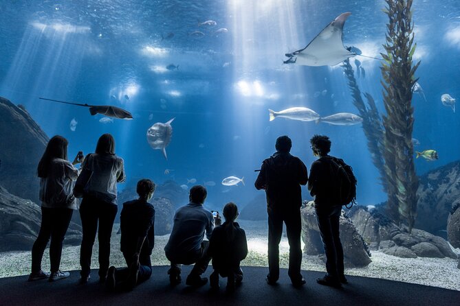 Lisbon Oceanario: Aquarium Entrance Ticket - Key things you’ll notice right away