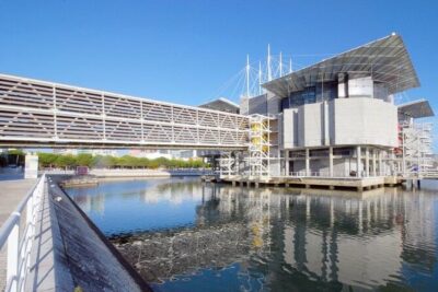 Lisbon Oceanario: Aquarium Entrance Ticket - Tickets and timing: when prebooking saves you more than money