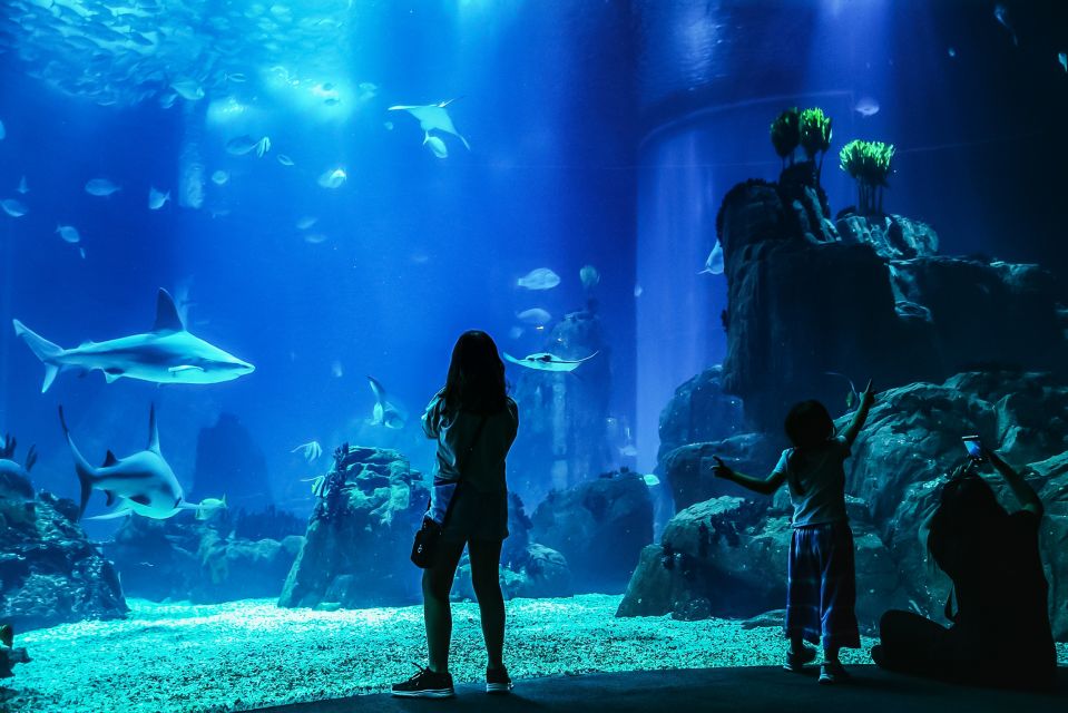 Lisbon: Oceanário de Lisboa Entrance Ticket - Oceanário de Lisboa: Why This Indoor Aquarium Works So Well