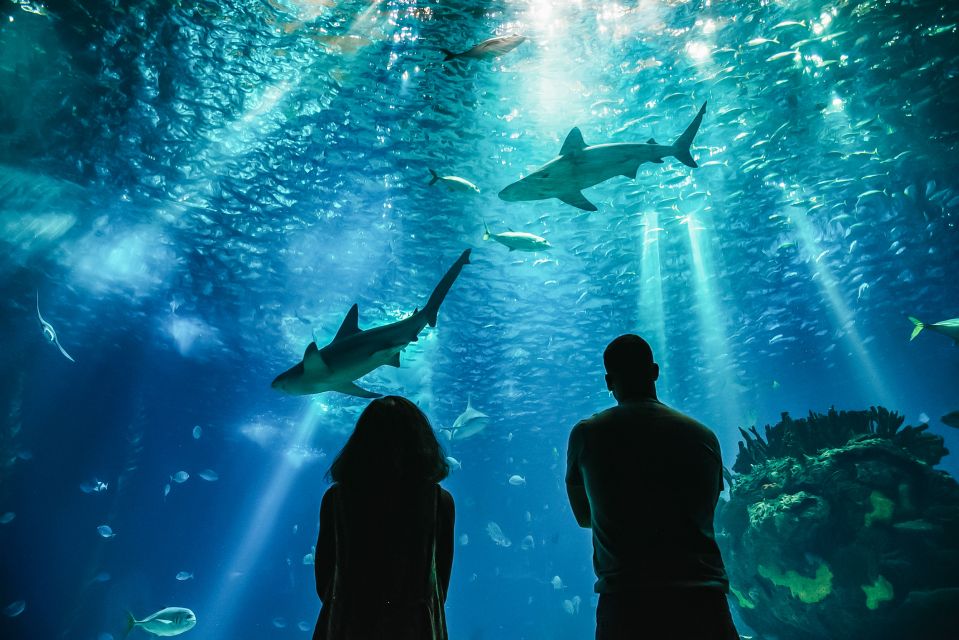 Lisbon: Oceanário de Lisboa Entrance Ticket - Don’t Rush the Levels: How to Read the Exhibits Without Getting Overwhelmed