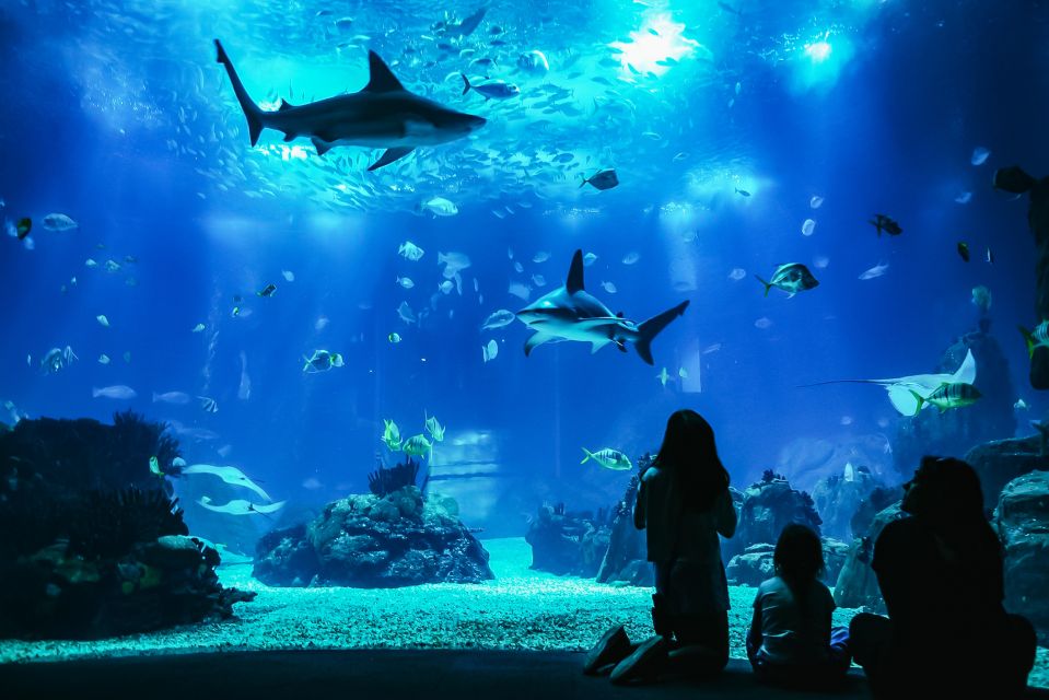 Lisbon: Oceanário de Lisboa Entrance Ticket - Temporary Exhibitions: Why They Matter Even if You Know the Core Tanks