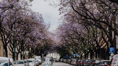 Lisbon: Private City Tour by Tuk-Tuk - The Route You’ll Ride: Alfama, Graça, and the Viewpoints That Define Lisbon