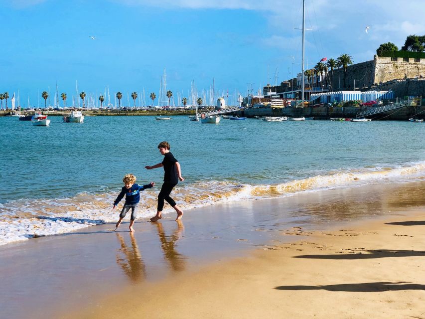 Lisbon: Sintra, Pena, Cabo da Roca Coast & Cascais Day Tour - The van ride: comfortable, air-conditioned, and built for a long day