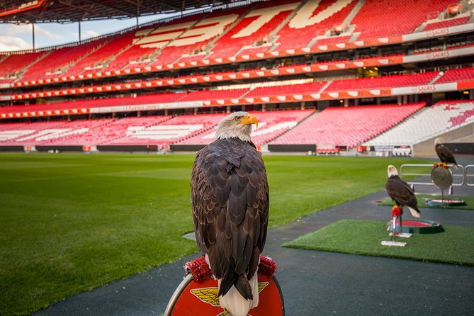 Lisbon SL Benfica Stadium & Museum Tour with Scarf - Museu Benfica – Cosme Damião: how to make the museum worth your time