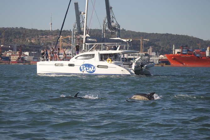 Lisbon: Sunset Cruise With Drinks on Spacious Yacht - The Safety Briefing: Quick, Clear, Then Enjoy the Ride
