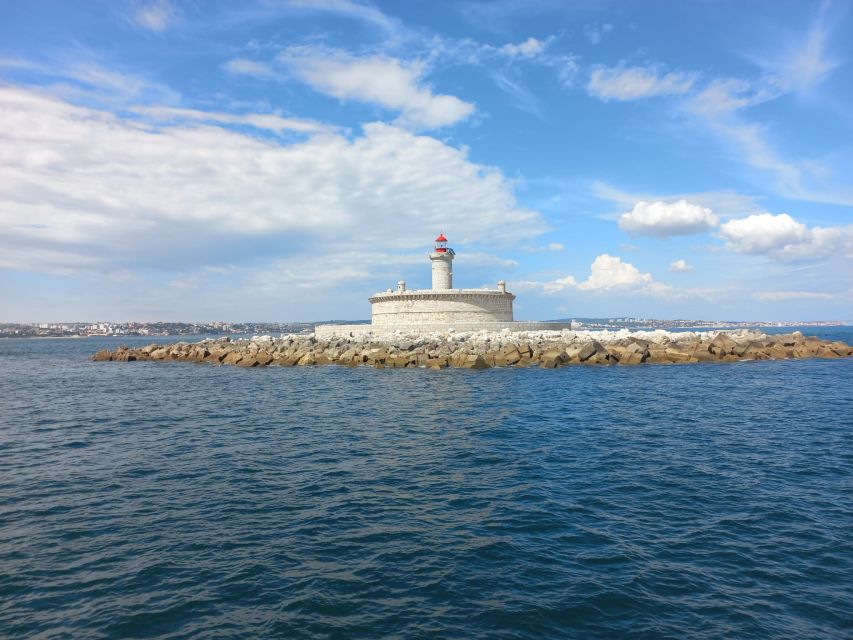 Lisbon: Tagus River Cruise to the Ocean & Dolphin Watching - Who should book this cruise