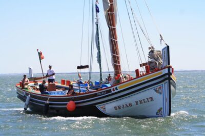 Lisbon: Tagus River Express Cruise in a Traditional Vessel - Your 45-minute route: Commerce Square, São Jorge, Alfama, and Santa Apolónia