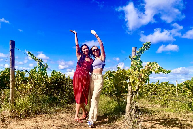 Private Lisbon-Arrábida Wine Tour: 3 Wineries, Coast & Heritage - Price and what you’re really paying for at $156