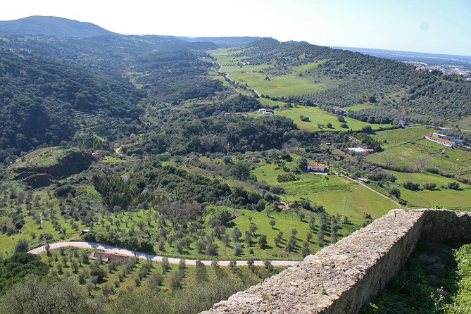 Private Wine Tasting in the Setúbal Wine Region, from Lisbon - From Lisbon to Setúbal: the Drive That Makes the Day Feel Private