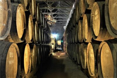 Private Wine Tasting in the Setúbal Wine Region, from Lisbon - José Maria de Fonseca: the Always-Included Cellar That Sets the Bar