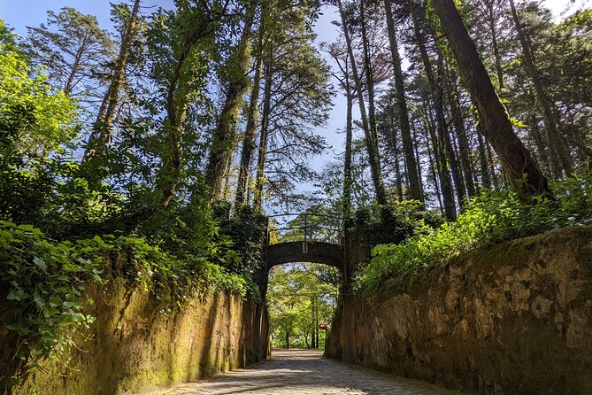 Sintra-Cascais-Pena Palace 8-People Small Group Tour from Lisbon - Pace and guide style: why the day doesn’t feel like a sprint
