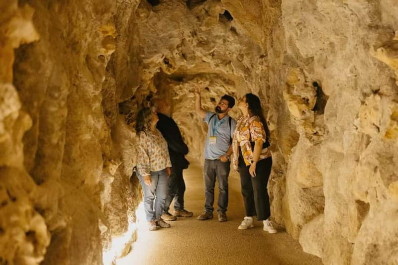 Sintra: Quinta da Regaleira Entry Ticket and Guided Tour - Quinta da Regaleira: the Sintra site that plays with your imagination