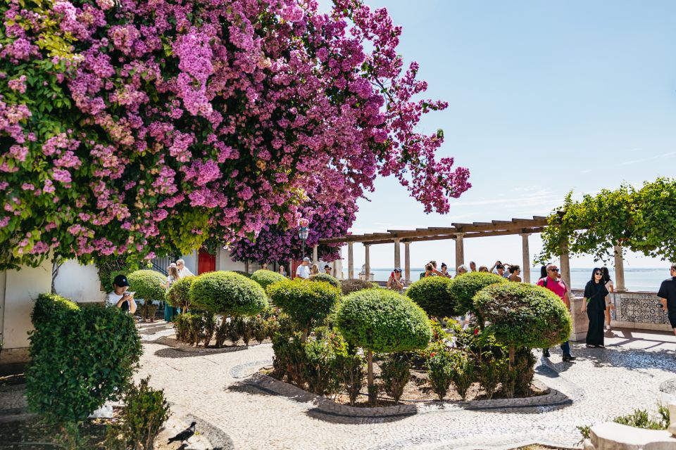 Vadio: Lisbon Old Town Private Tuk Tuk Tour - Key things to know before you go